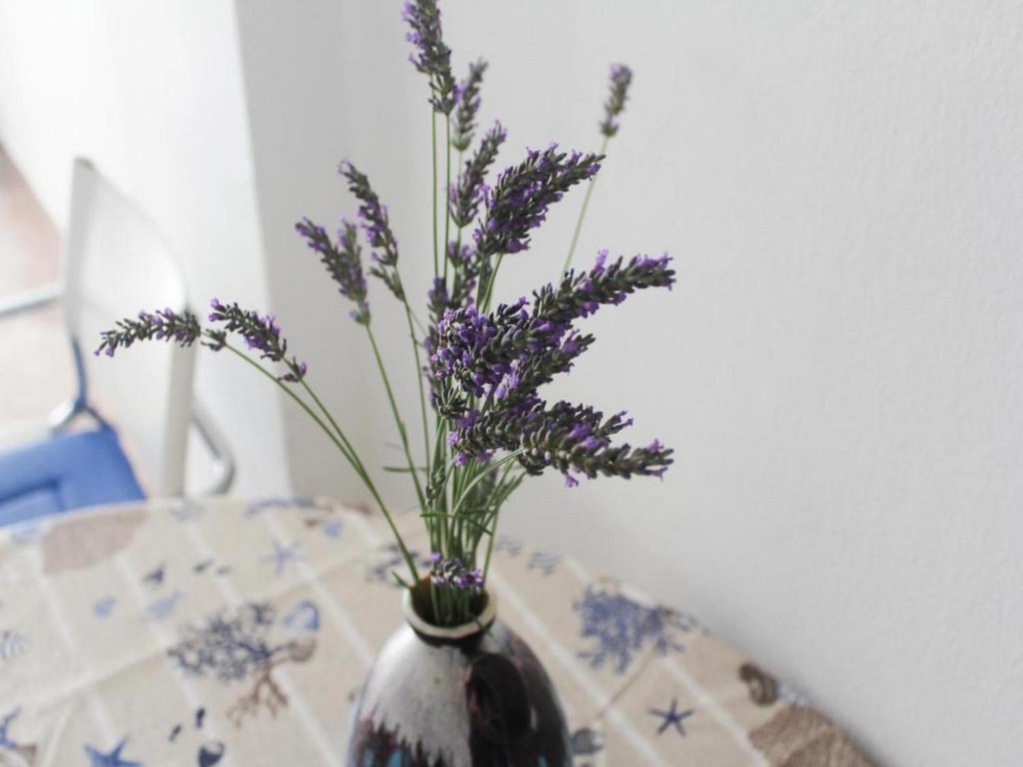 Apartmani Lucia Biograd Biograd Na Moru Pokoj fotografie